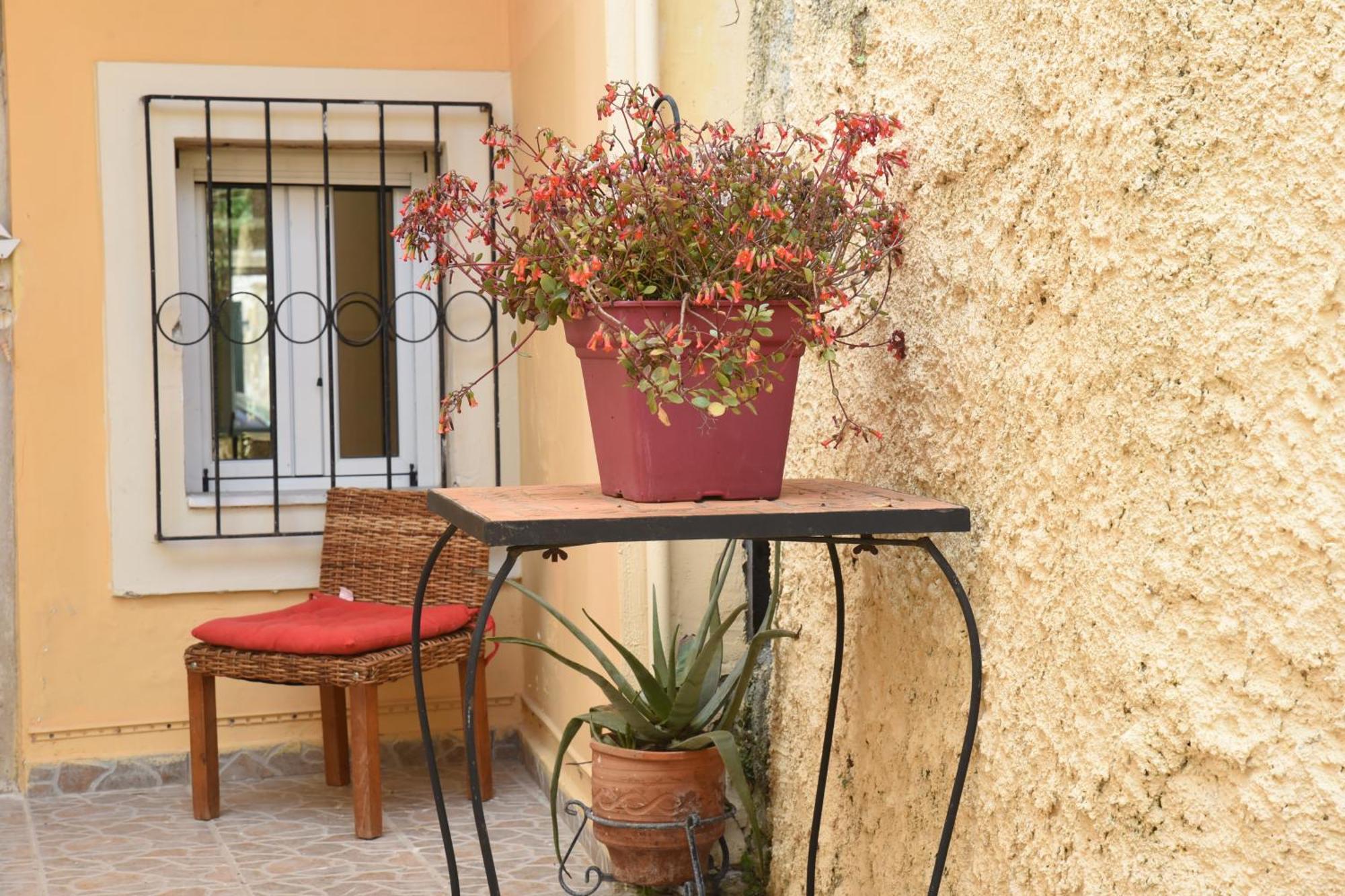 Villa Maxim In Corfu Town Anemómilosz Kültér fotó